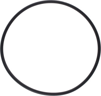 Pakning/o-ring til 3/4'(1007481)+ 1'(1007499) sjøvannsfilt